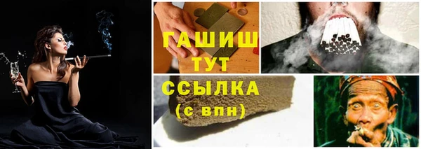 индика Алзамай