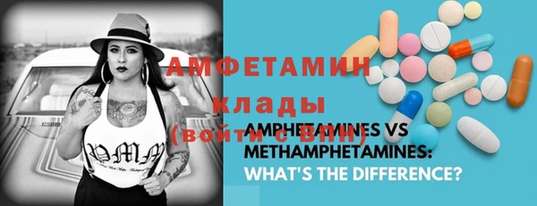 индика Алзамай