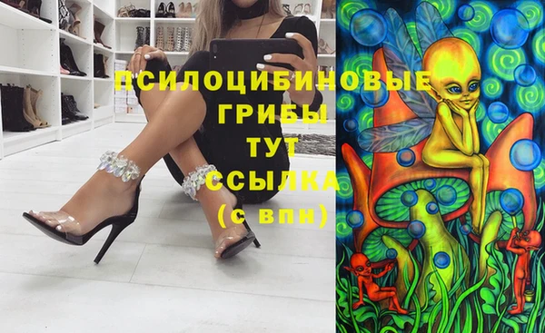 индика Алзамай